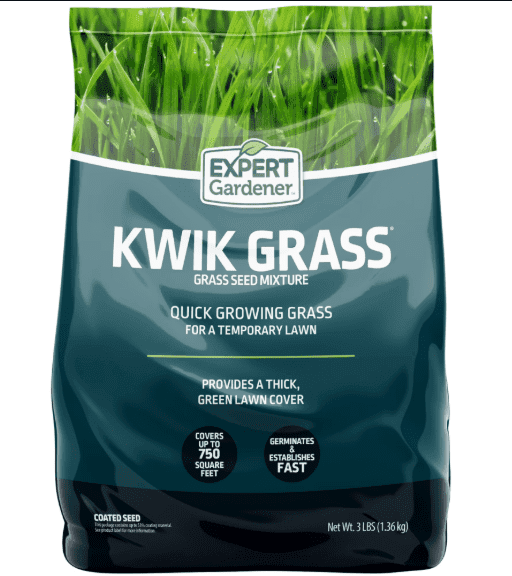 A Fresh Lawn Edit: Garden Essentials Worth Exploring at Walmart