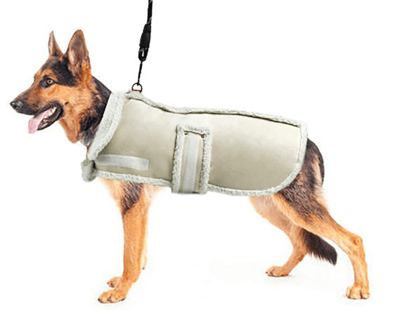 37% Off XUANQIFC Dog Winter Jacket – Keep Your Dog Warm with Windproof, Thick Fleece Coat