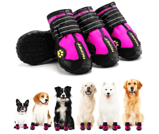 Protect Your Pup’s Paws with Hcpet Dog Shoes – 31% Off!