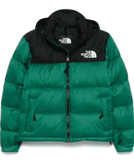 Farfetch The North Face Sale 20% Off $145
